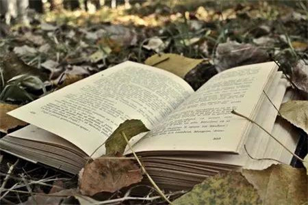 云南自考专科和全日制专科有什么区别？