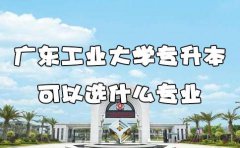 云南工业大学专升本可以选什么专业