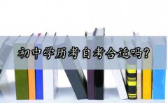 初中学历考自考合适吗?