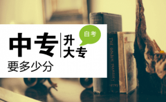 中专升大专要多少分?